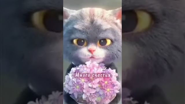 видео с поздравлением