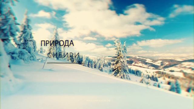 Природа России