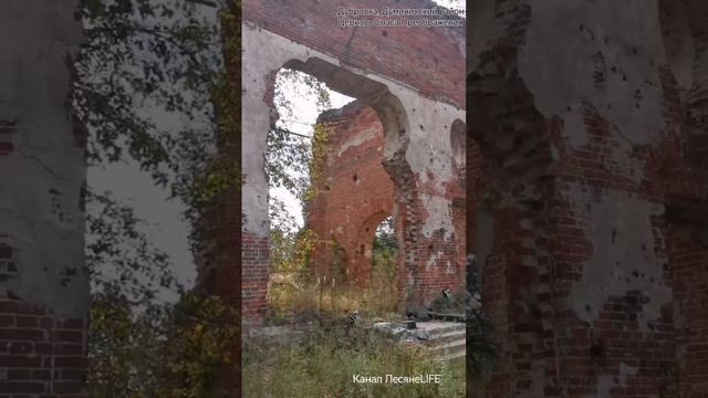 Дубровка Церковь Преображения Господня #дубровка #думиничи #сказочныйлес