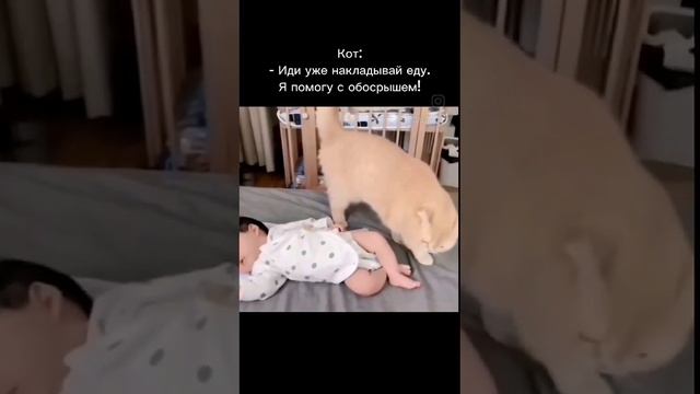 VID-20241107-WA0000.mp4