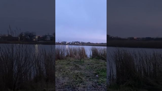 20 ноября 2024 г.