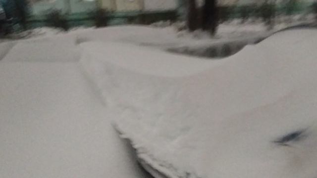 метёт в середине ноября