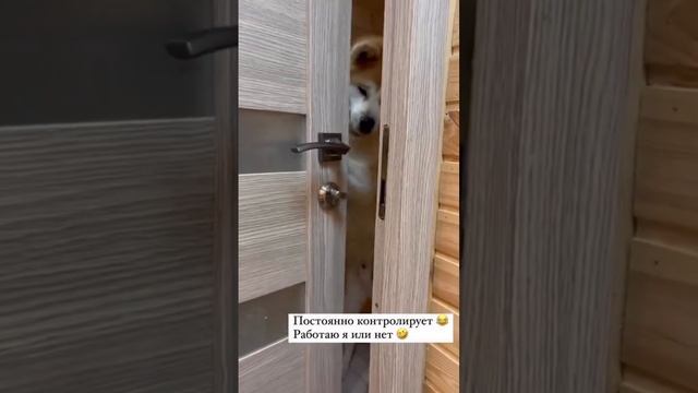 Контролирует процесс