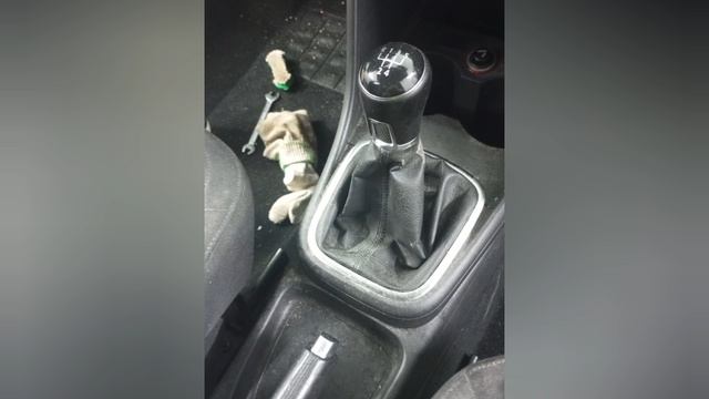 W Polo.mp4