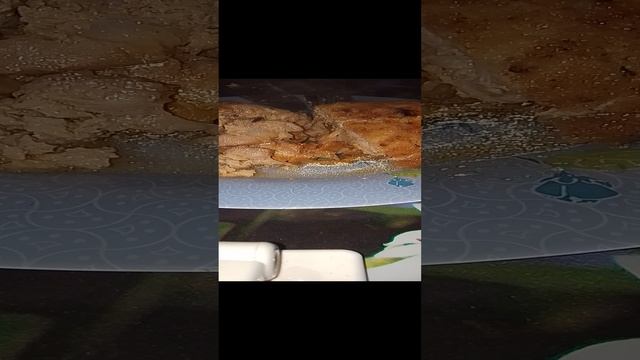 гигантская котлета ч2
