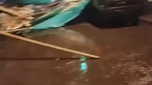 Еще последствия сильного ветра в Москве и Подмосковье