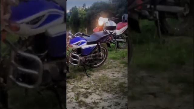 Железные звери (Эдит)