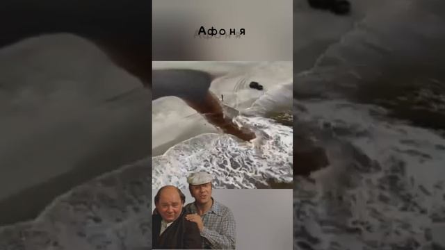 1000015585.mp4