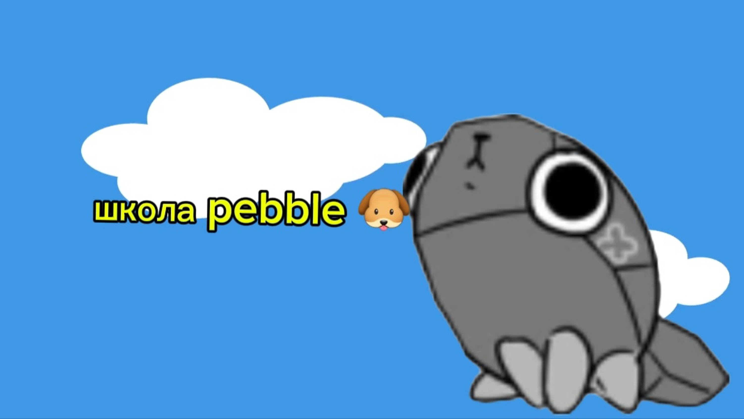 Школа pebble