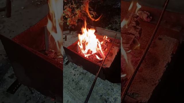 1000011331.mp4