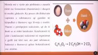 9 07 035 - Java 18 - Kimi - Metanoli dhe etanoli