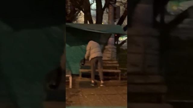 Семейку предполагаемых догхантеров задержали недалеко от нас на Кутузовском проспекте в Москве