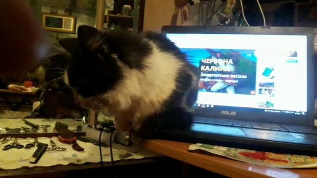 Муся слушает Червону калину20211026_