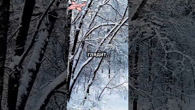 анекдот😂joke😂