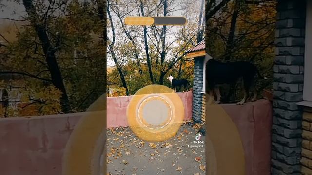 632715656c89e4bfde8b7cdcce0a9efe[1]