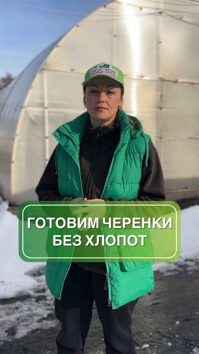 черенки осенью I черенки I советы садоводу