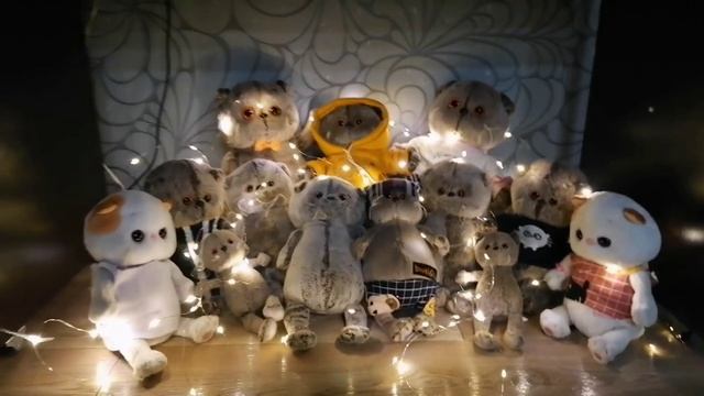 |Наш новый 13-й Басик!| видео-знакомства будет уже скоро!