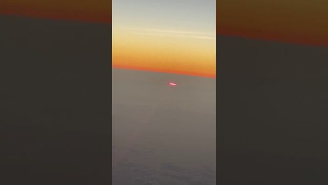 VID_20241121_190549_231.mp4