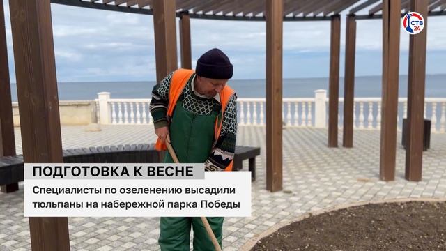 На набережной парка Победы высаживают композиции тюльпанов (Дежурный по городу. 21 ноября 2024)