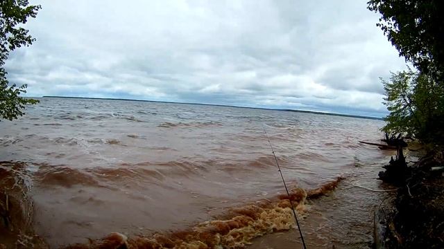 ЛОВЛЯ КРУПНОЙ ПЛОТВЫ НА ФИДЕР / Весенняя ловля плотвы