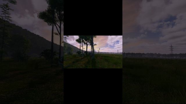 DayZ Место для мёртвых