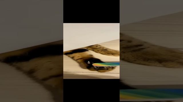 Маникюр для кисулькена