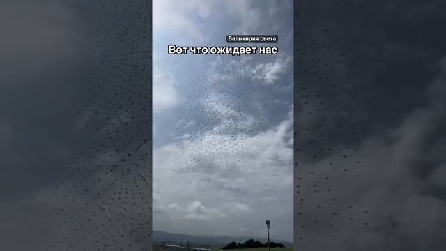 VID_20241120_231445_415.mp4