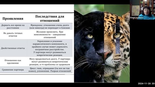 "Хищник" в поисках Любви. Архетип Мага в отношениях