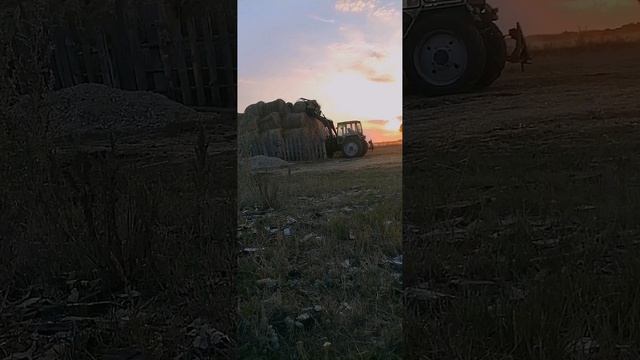 Заготовка кормов. Деревня.