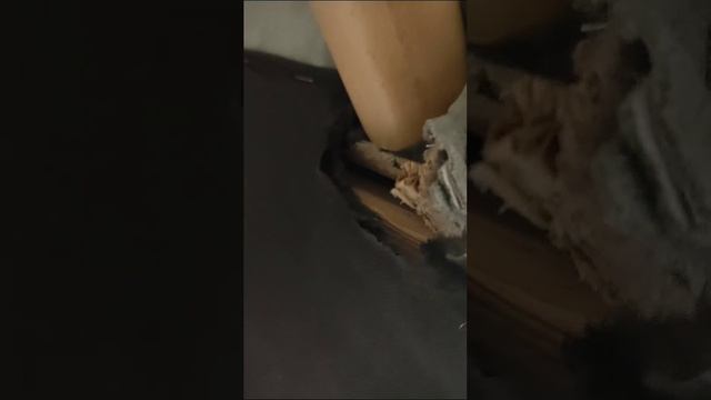 1000203756.mp4