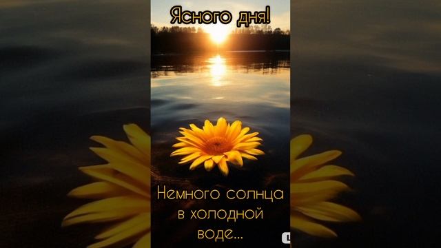 Немного солнца