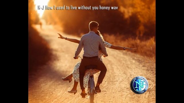 N-J How I used to live without you honey
