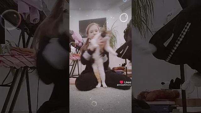 Like_7438344966558075573.mp4