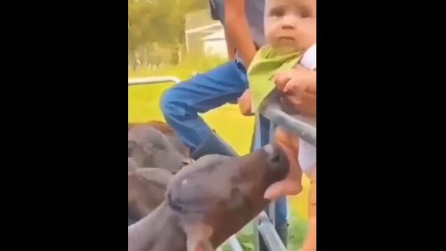 Маленькая девочка и два козленка
