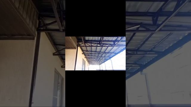 scene_output.mp4