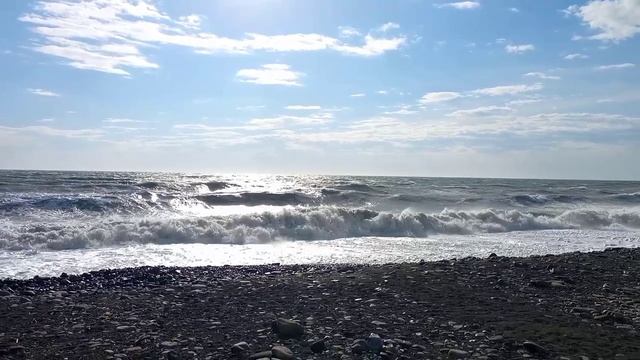 lv_0_20241121215111.mp4
шторм на море, гуляли