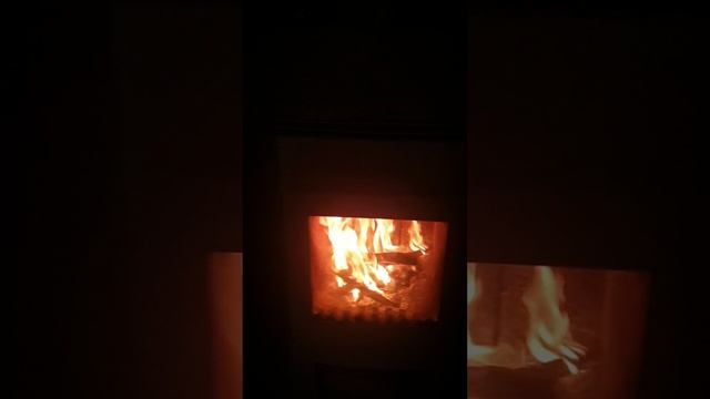 20241116_185455_1_1.mp4
