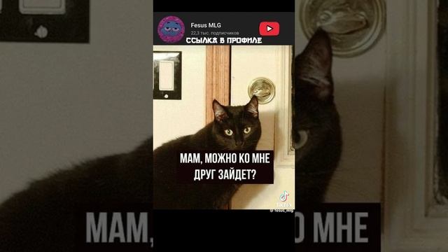 Мемы