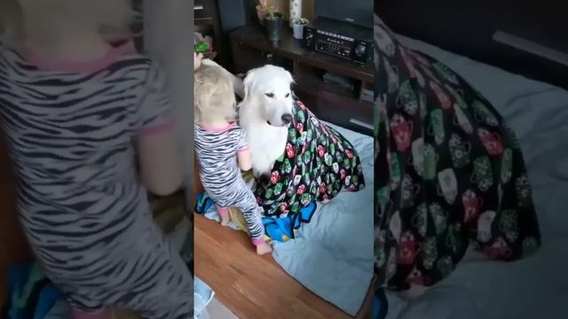 Доброта милота )