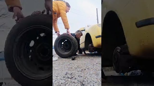 Блондинки на дорогах
