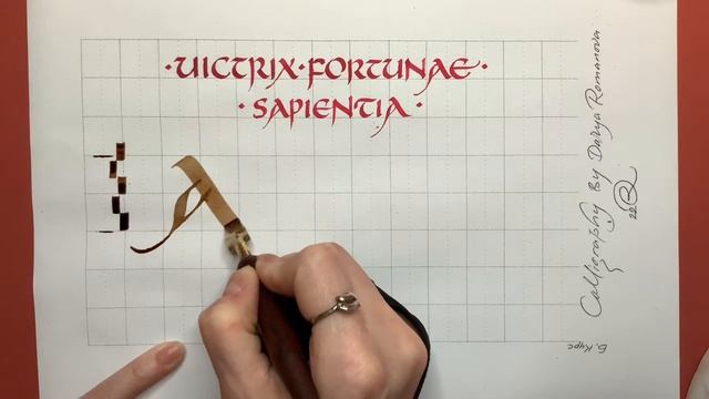 Старый унциал IV – VI вв. Пропорции и детализация букв. Дарья Романова.