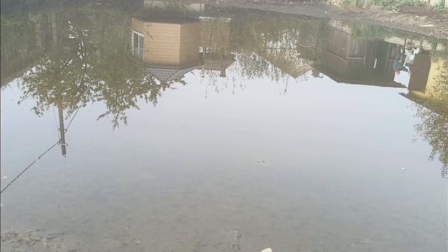 утро в деревне