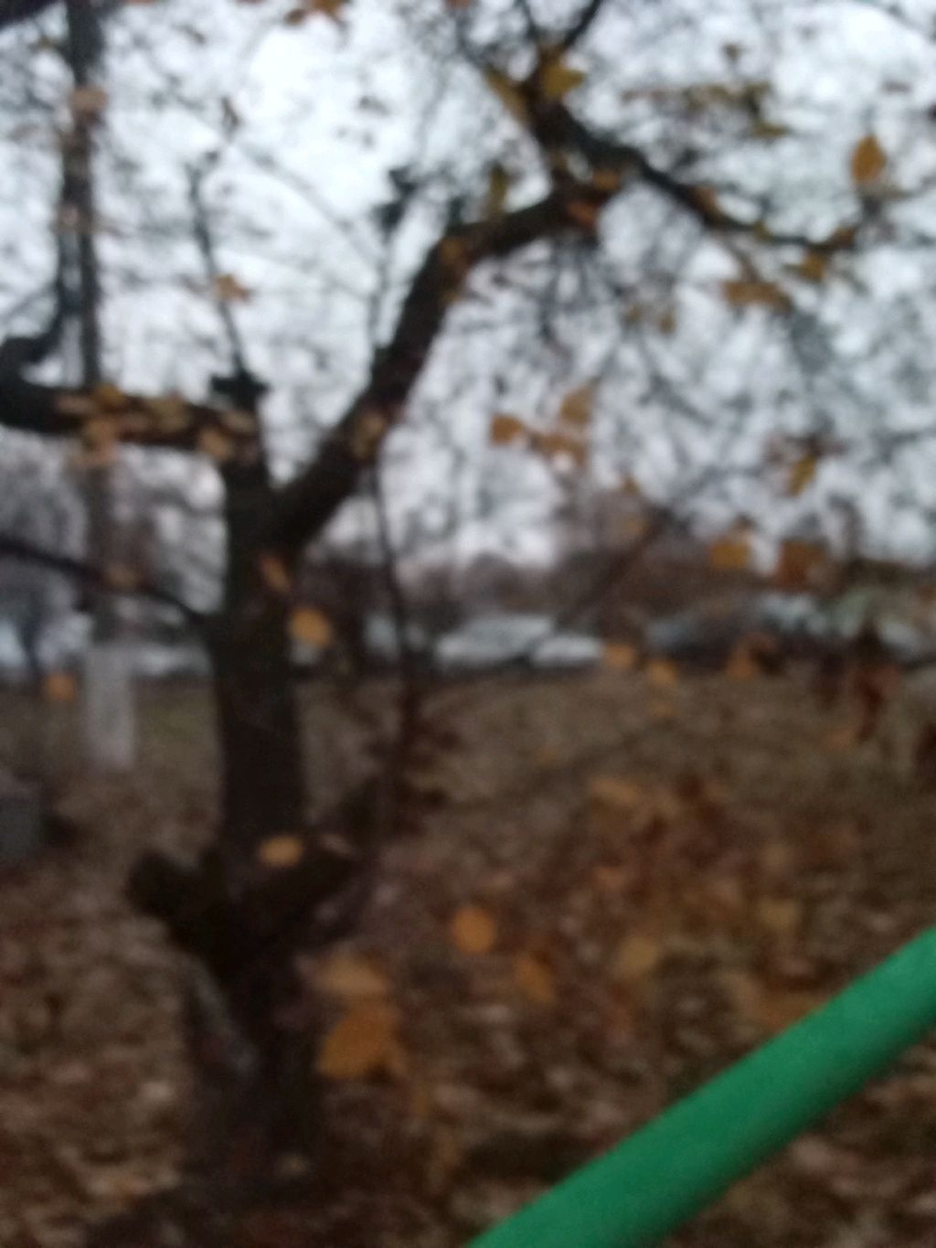 Короче говоря я иду в школу чеееееееееееееееееееек