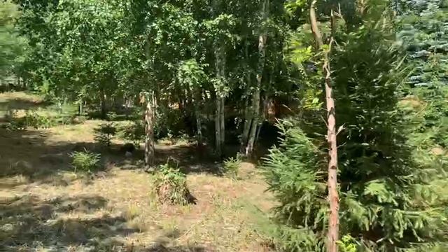 Поселок Ивановское, участок 31 сотка
