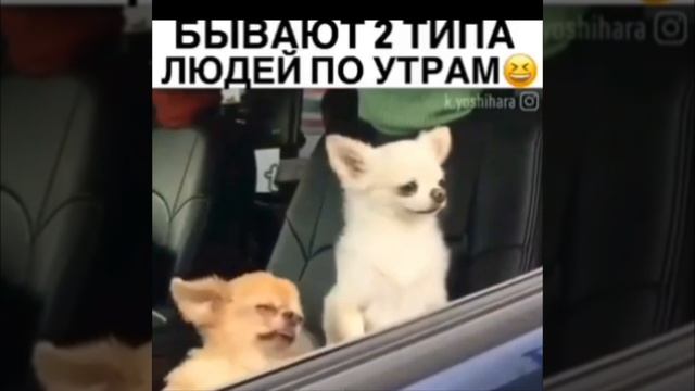 я утром