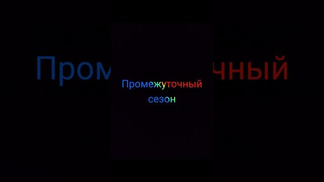 Промежуточный хомяк #shorts