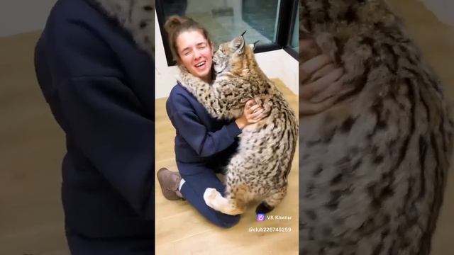 1000187180.mp4