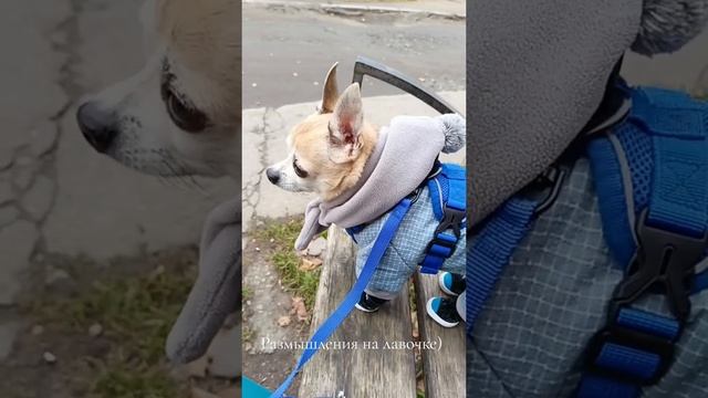 Скоро он меня сожрет