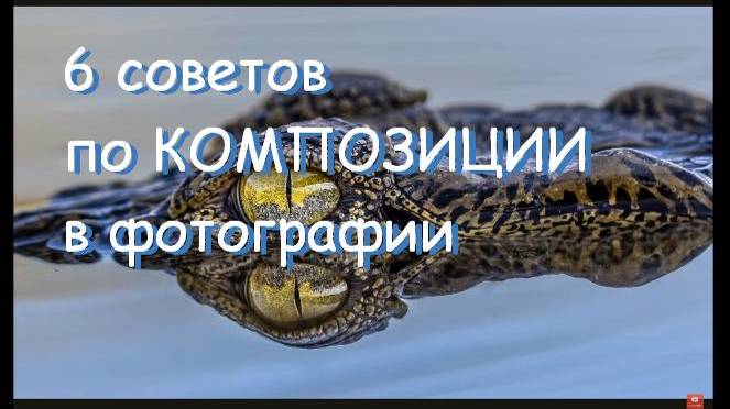 композиция в фотографии - 6 советов от Саймона