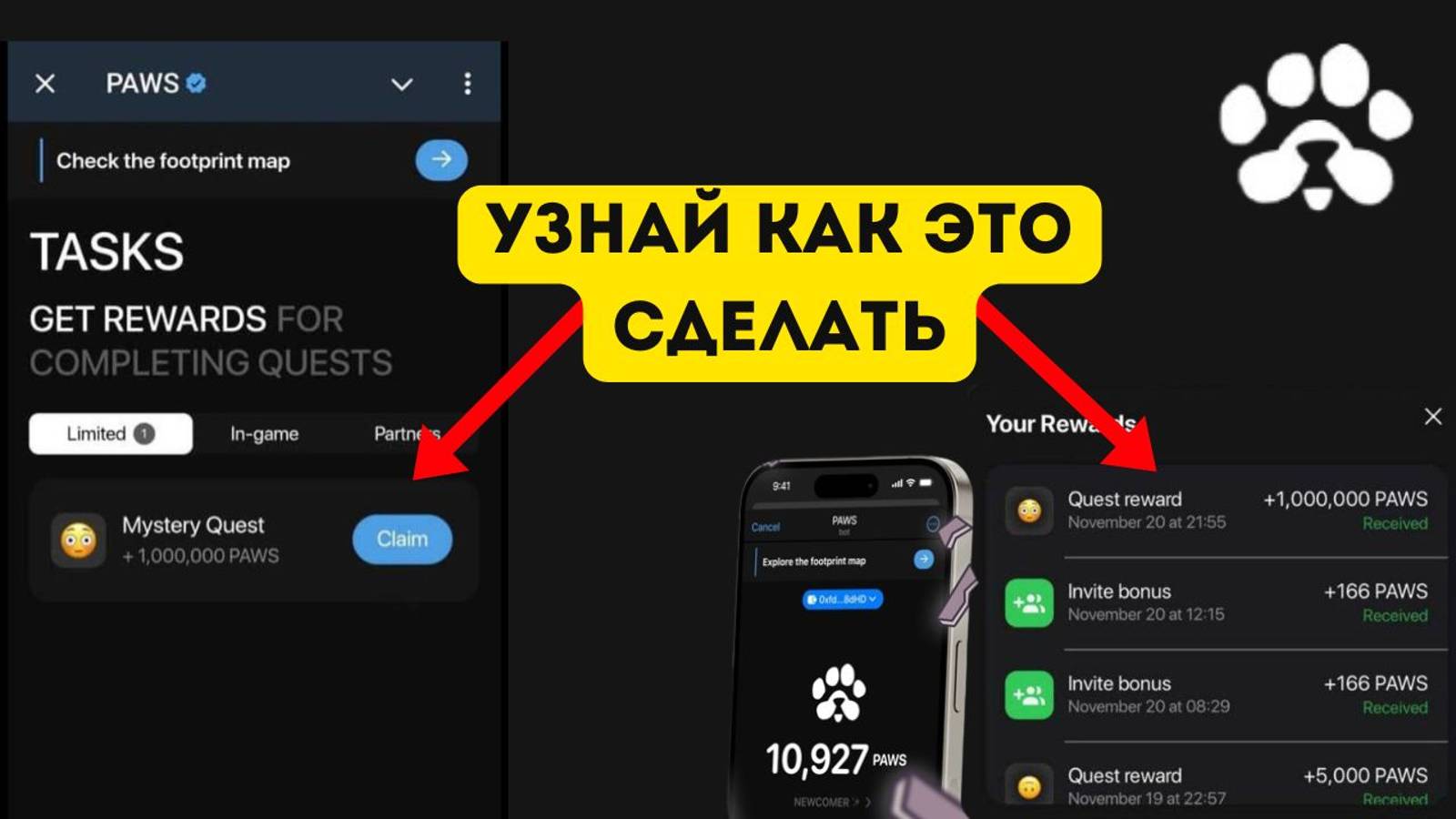 Paws задания на 1 000 000 монет. paws задания paws. новое задание как выполнить задание в paws